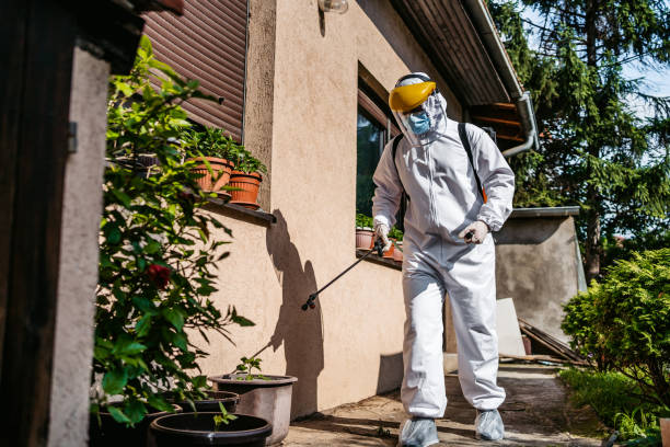 Wildlife Control Services in Havre De Grace, MD