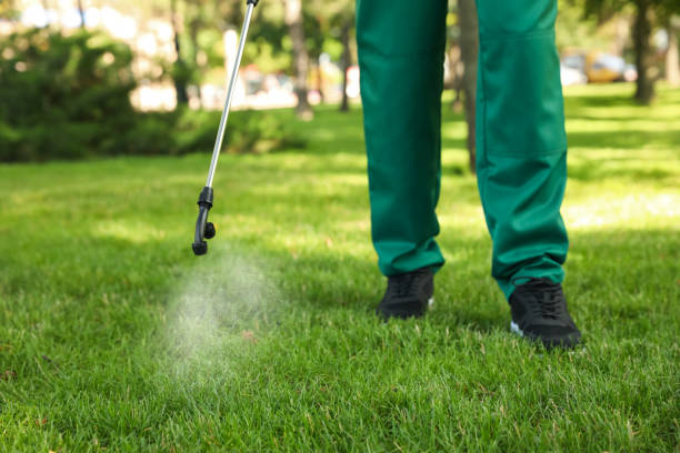 Best Residential Pest Control  in Havre De Grace, MD