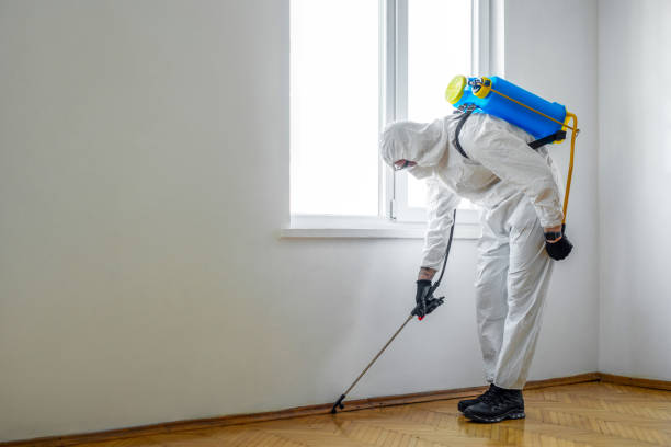 Best Pest Removal Services  in Havre De Grace, MD