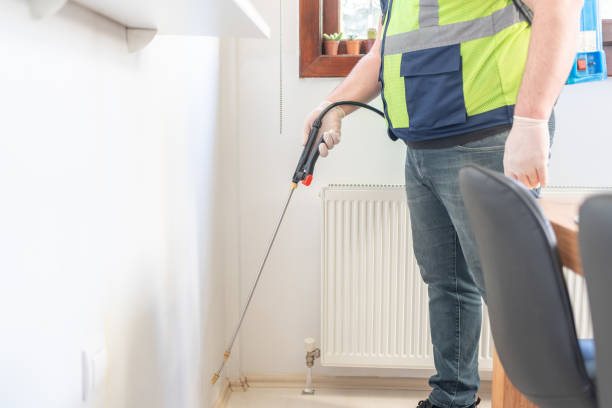 Best Flea Control Services  in Havre De Grace, MD